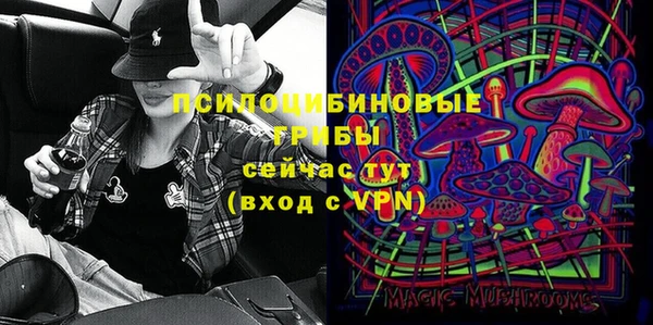 мескалин Лабытнанги