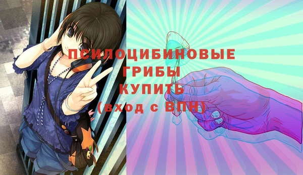 ПСИЛОЦИБИНОВЫЕ ГРИБЫ Ладушкин