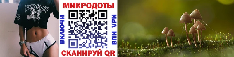 Купить  Нолинск  Псилоцибиновые грибы мицелий 